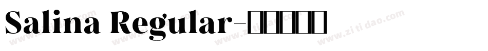 Salina Regular字体转换